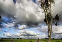 印度羽球公开赛八强挑战奥运冠军 骆建佑和杨佳敏失利出局.