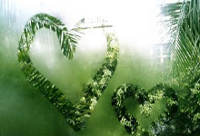 科尔：库明加今天不打预计可以出战湖人 目前为每日观察状态.