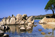 CBA：山东高速男篮迎来常规赛收官战.